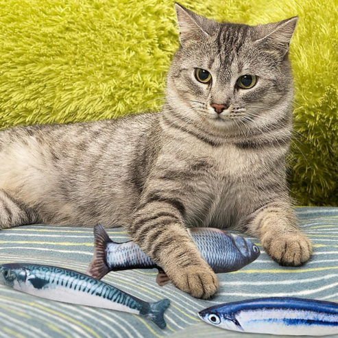 Lot de 3 Jouets Poisson en Peluche avec Herbe à Chat – Stimulation, Jeu et Détente pour Chats d’Intérieur