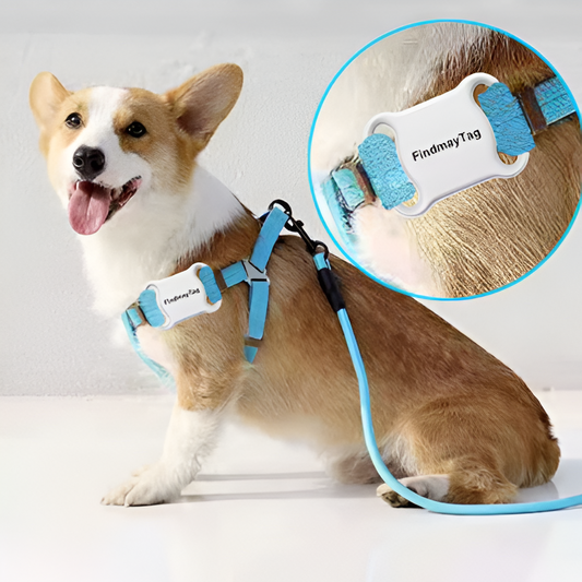 Mini Localisateur GPS Intelligent pour Animaux de Compagnie – Étanche, Anti-Perte, Bluetooth – Collier de Suivi pour Chats et Chiens