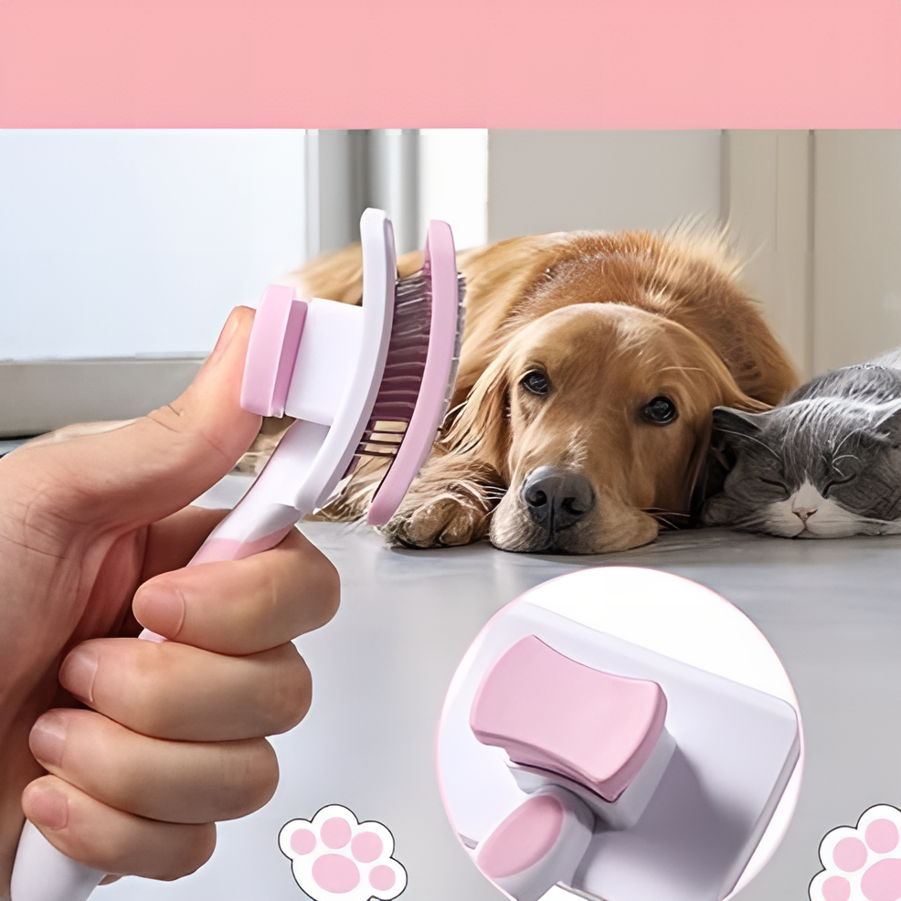Brosse Autonettoyante Pour Animaux de Compagnie