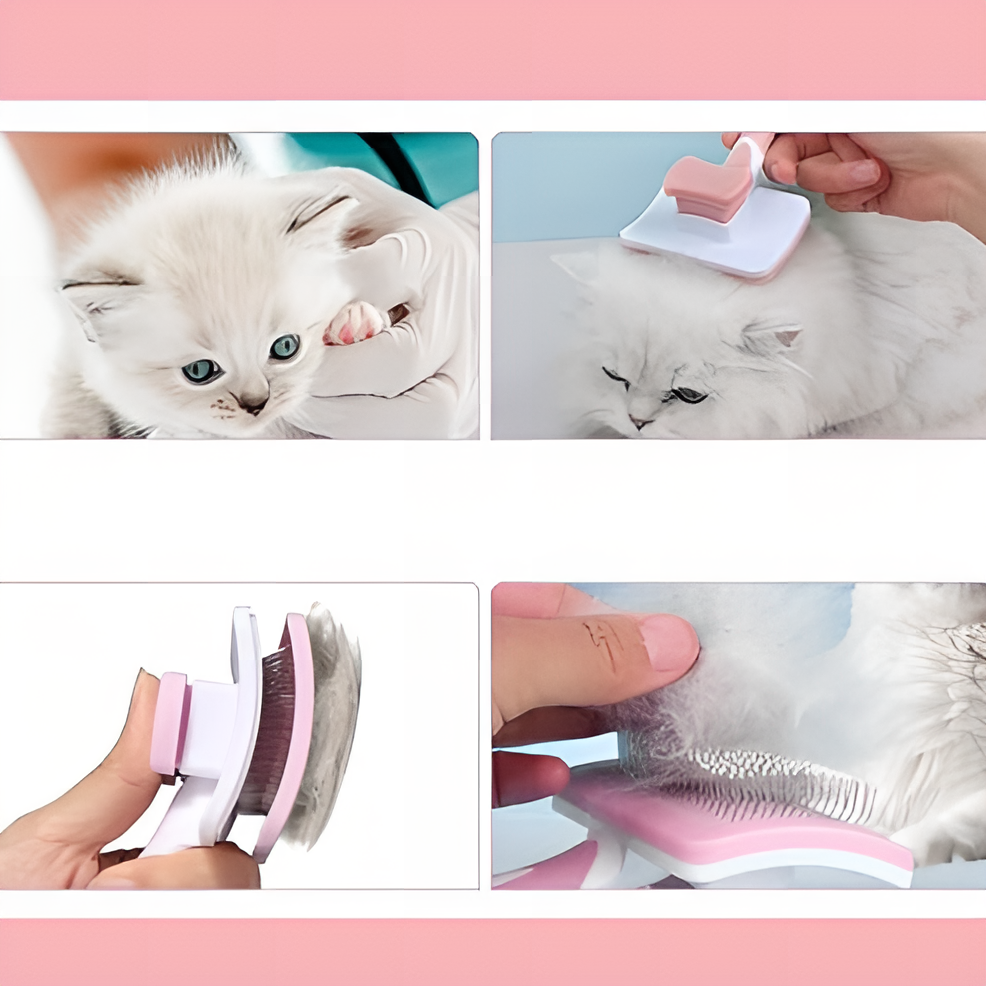 Brosse Autonettoyante Pour Animaux de Compagnie