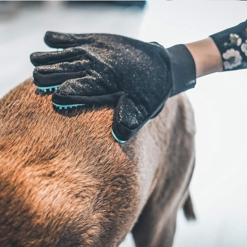 Gant de Toilettage du Chien et du Chat | Action 4 en 1 - Brossage, Massage, Bain et Récupération des Poils