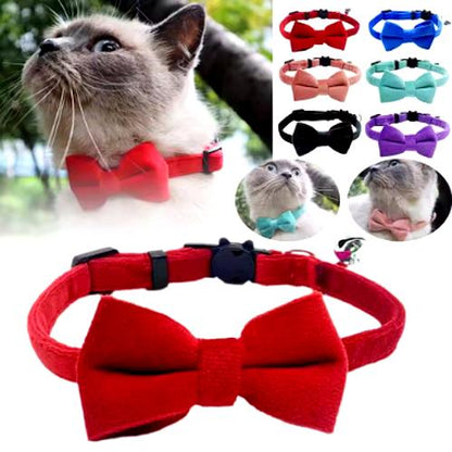 Collier à Nœud Papillon pour Chat – Élégance, Sécurité et Confort au Quotidien
