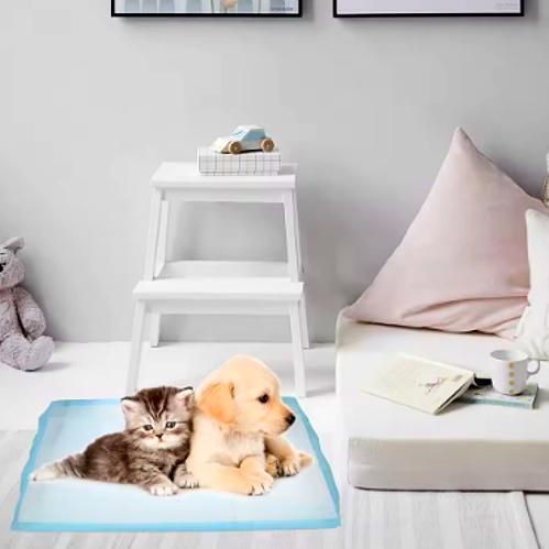 Tapis de Pipi Jetables pour Animaux – Lot de 40 Coussinets Absorbants en Tissu Non Tissé